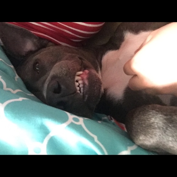 Meet the posher - Picture 4 of 4