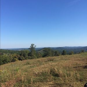 Meet your Posher, Cassidy