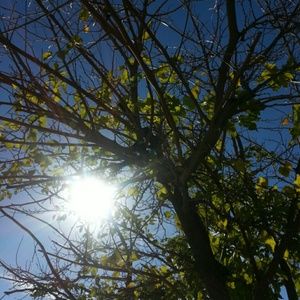 Meet your Posher, Leydi