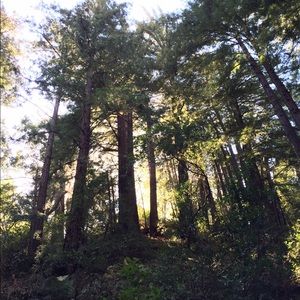 Meet your Posher, Caitlyn