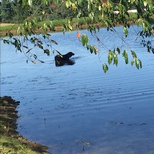 Meet your Posher, Mariah