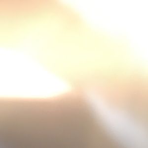 Meet your Posher, Sabrina