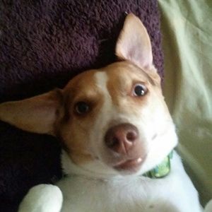 Meet your Posher, Brittney