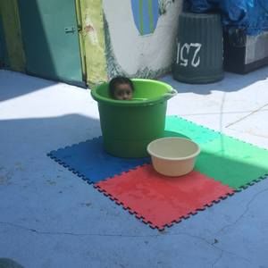 Meet your Posher, Isabel