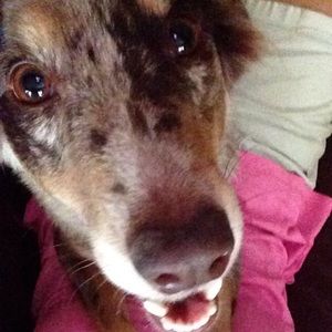 Meet your Posher, Megan