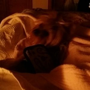 Meet your Posher, Helene