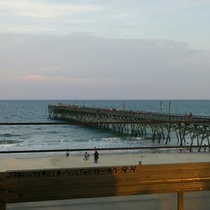 Meet your Posher, Cassidy