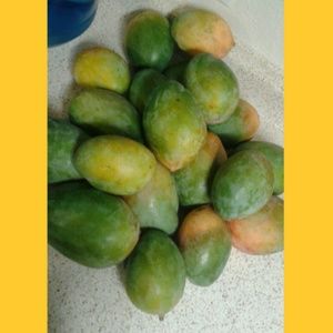 Meet your Posher, Luis