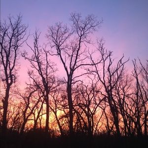 Meet your Posher, Deeann