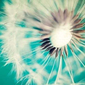 Meet your Posher, Lyssa