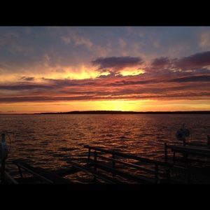 Meet your Posher, Maddie