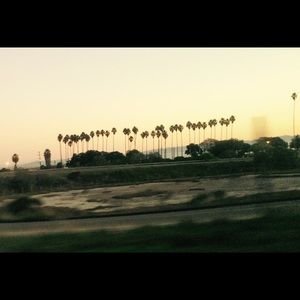 Meet your Posher, Noemi