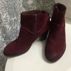 Burgundy Steve Madden Booties