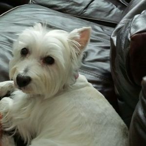 Meet your Posher, Lorrie