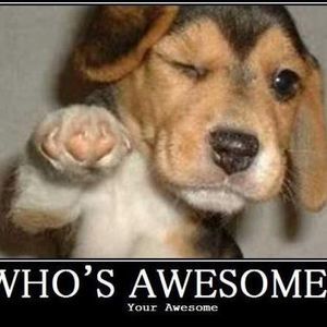 Meet your Posher, Andre