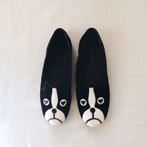 boston terrier flats