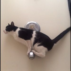 Meet your Posher, Carissa