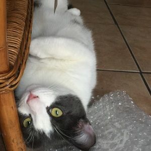 Meet your Posher, Joy