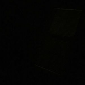 Meet your Posher, Monique