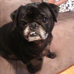 Meet your Posher, Ana