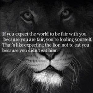 Meet your Posher, Rachelle