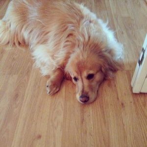 Meet your Posher, Kelly