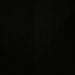 Meet your Posher, Reagan