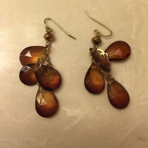 Brown earrings