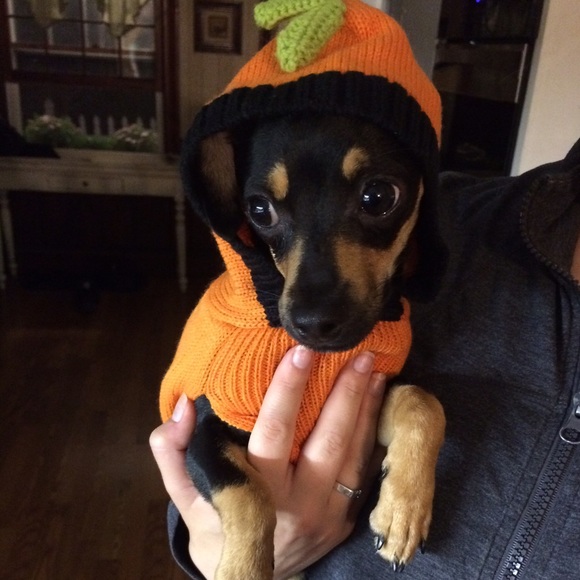 Meet your posher! - Picture 2 of 3