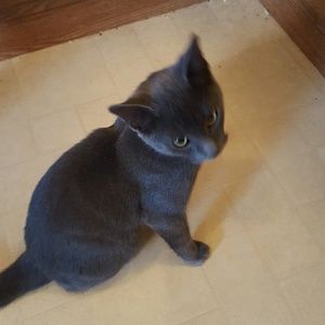 Meet your Posher, Ann