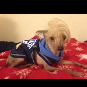 Meet your Posher, Debbie