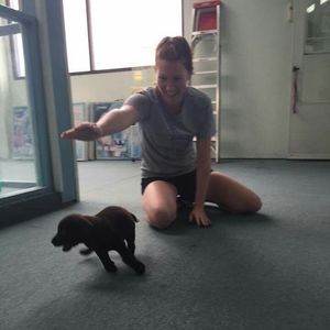 Meet your Posher, Alex