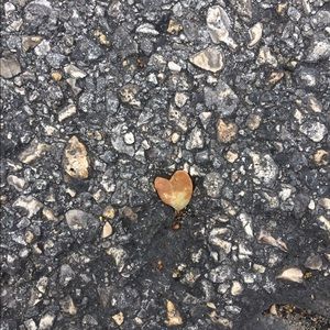 Meet your Posher, Jaclyn