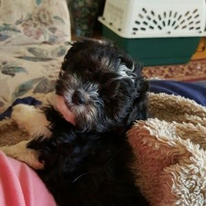 Meet your Posher, Katlyn