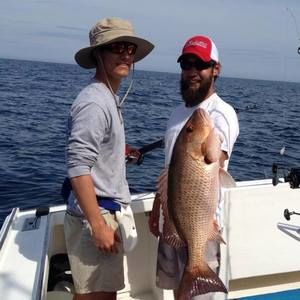 Meet your Posher, Kipp