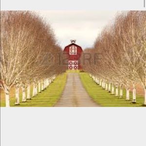 Meet your Posher, Morgan