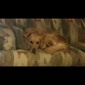 Meet your Posher, Sierra