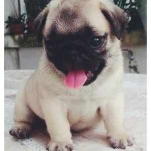 Meet your Posher, Caitlin