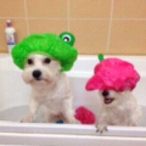 Meet your Posher, Mandy