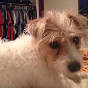 Meet your Posher, Sami