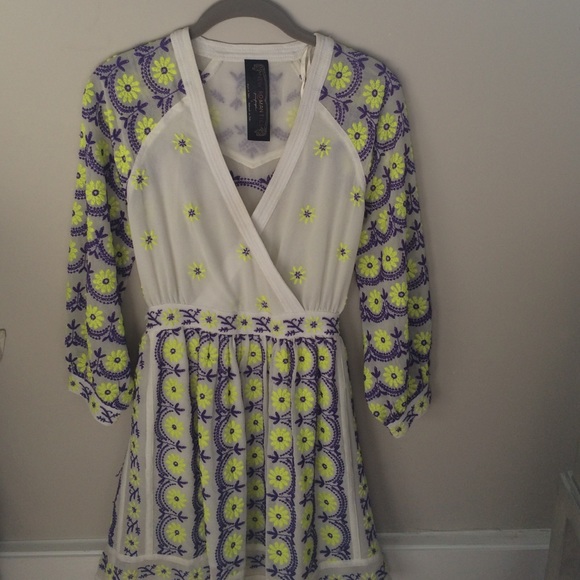 Free People New Romantics embroidered dress.