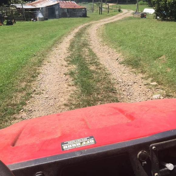 Meet your Posher, Marley