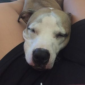 Meet your Posher, Caitlin