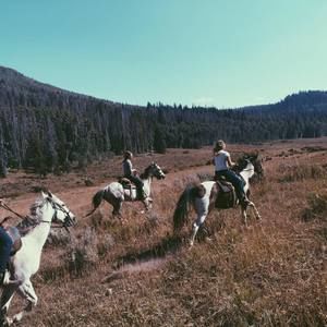 Meet your Posher, Colleen