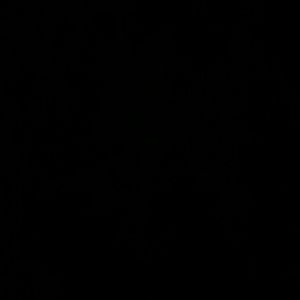 Meet your Posher, Kellie