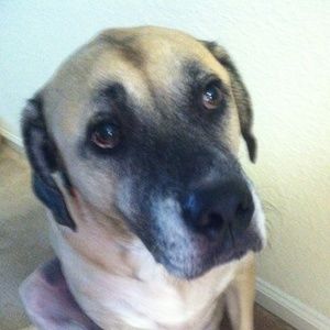 Meet your Posher, Kristy