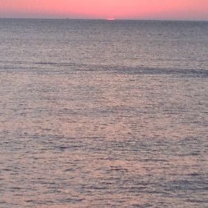 Meet your Posher, Isabel