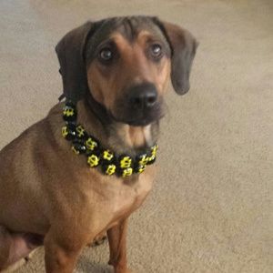 Meet your Posher, Kalea