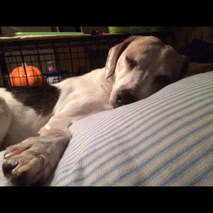 Meet your Posher, Candice