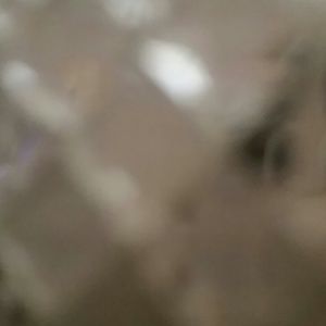 Meet your Posher, Patricia